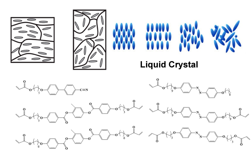 liquid crystal